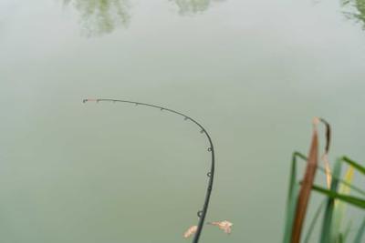 Korum Limitless Feeder 14ft 4,20 m 220gr