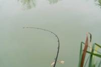 Korum Limitless Feeder 14ft 4,20 m 220gr - thumbnail