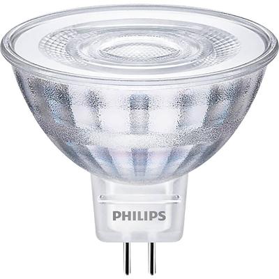 Philips LED 35W MR16 CW 36D RF ND SRT4 Verlichting