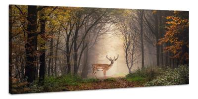 Schilderij -Hert in het bos, premium print , 2 maten (wanddecoratie)