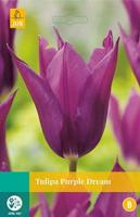 Tulp Purple dream 7 bollen - thumbnail