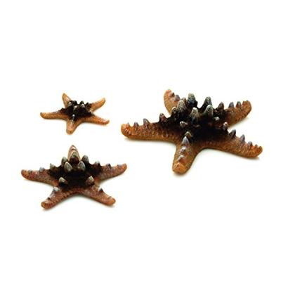 BiOrb zeester set 3 natuur aquarium decoratie BiOrb zeester set 3 natuur aquarium decoratie