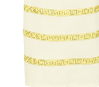 Romeinse Jurk Meisje Wit