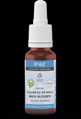 Bach Bloesem Bach bloesems mengeling 42 vertrouwen bio 20 Milliliter