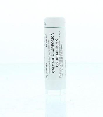 Homeoden Heel Calcarea carbonica ostrearum MK 6 Gram Homeoden Heel Calcarea carbonica ostrearum MK 6 Gram