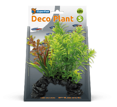 Deco plant s hottonia