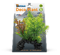Deco plant s hottonia - thumbnail