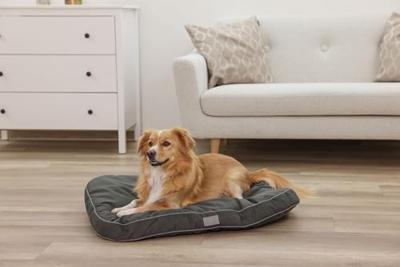 KERBL - Gevoerde vloermatras L - 80 x 60 x 6 cm - JEROME kussen - Donkergroen - KERBL - Gevoerde vloermatras L - 80 x 60 x 6 cm - JEROME kussen - Donkergroen -