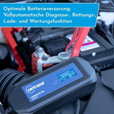 cartrend DP 6.1 581534 Oplader 6 A