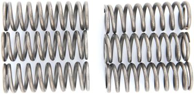 TRW koppelingsveren set clutch spring kit mef152-6