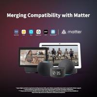 Aqara dubbele inbouw schakelaar Module T2 - thumbnail