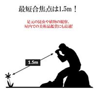 Kowa SVII 10x25 - thumbnail