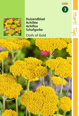 Zaden Achillea Duizendblad Cloth Of Gold Hortitops - Hortitops