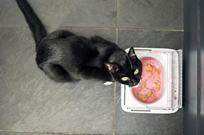SureFeed feeding dish Voerbak 400 ml Hond, Kat Wit met bewegingsmelder, Voor nat en droog voer, luchtdicht 1 stuk(s) SPBWT SureFeed feeding dish Voerbak 400 ml Hond, Kat Wit met bewegingsmelder, Voor nat en droog voer, luchtdicht 1 stuk(s) SPBWT