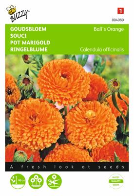 Calendula, Goudsbloem Ball's Orange dubbelbloemig