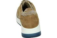 Verhulst 1334 K - alle - thumbnail