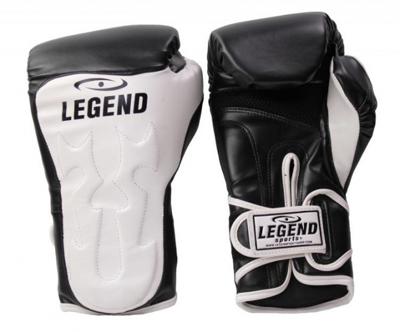 Legend Sports bokshandschoenen Power Rangers blauw/zwart