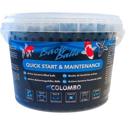 Bacto balls 2500ml Colombo - Colombo