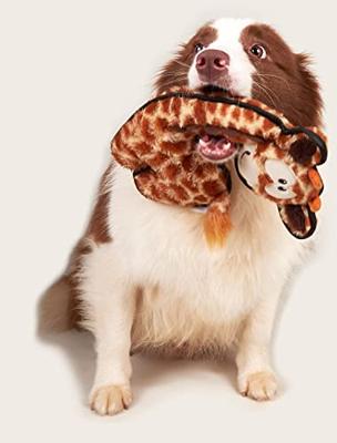 Fofos safari giraffe