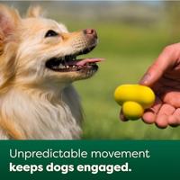 Earth Rated fetch toy rubber - thumbnail