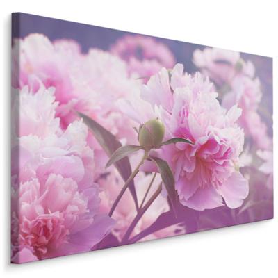 Schilderij - Roze Pioenrozen , print op canvas, premium print , Wanddecoratie