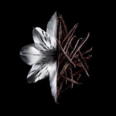 Givenchy L'Interdit Eau de Parfum Intense 80ml Givenchy L'Interdit Eau de Parfum Intense 80ml