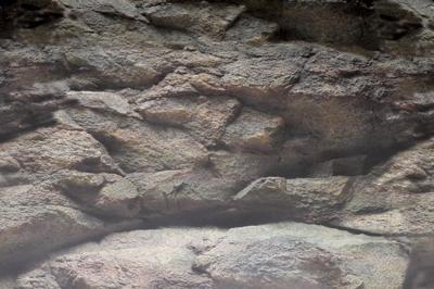 Deco Poster B2 60X49 Cm aquaria Superfish - Superfish Deco Poster B2 60X49 Cm aquaria Superfish - Superfish