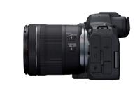 Canon EOS R6 mark II + RF 24-105mm F/4-7.1 IS STM - thumbnail