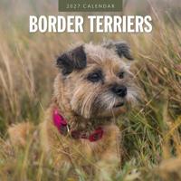 Border Terrier Kalender 2027 - thumbnail