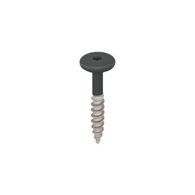 Torx schroef RVS 32 mm 100st Monumentengroen - Keralit (2890)
