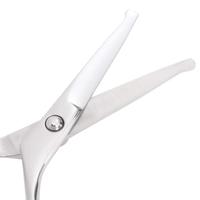 6-delige Hondentrimset roestvrij staal - thumbnail