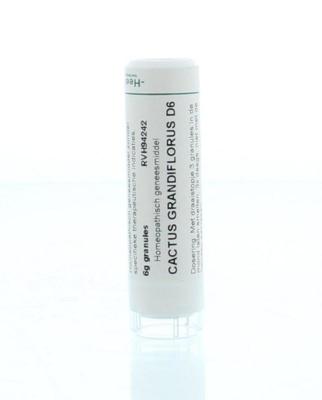 Homeoden Heel Cactus grandiflorus D6 6 Gram Homeoden Heel Cactus grandiflorus D6 6 Gram
