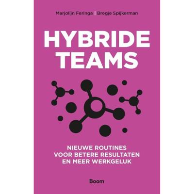 Hybride teams (Paperback)