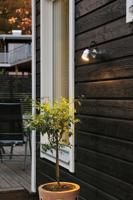 Monza 7903 wandlamp LED messing 7903-800 - thumbnail