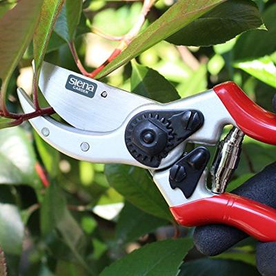 Siena Garden CG1020 Grasschaar 21.5 cm Bypass