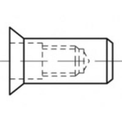 TOOLCRAFT TO-5444307 Popmoer M6 Staal 500 stuk(s)