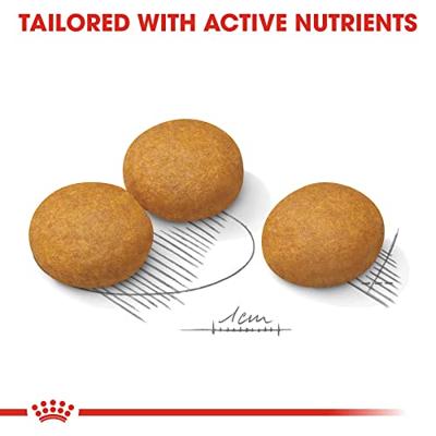 Royal Canin Maxi Dermacomfort hondenvoer 2 x 12 kg