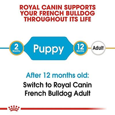 Royal Canin French Bulldog voer voor puppy 10kg - thumbnail