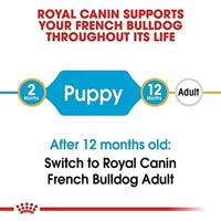 Royal Canin Puppy Franse Bulldog hondenvoer 10 kg - thumbnail