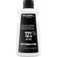Goldwell System Developer Vloeibaar 12% 40 Volume 1000ml - thumbnail