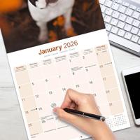 Boston Terrier Kalender 2026 - thumbnail