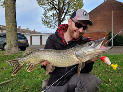 Rozemeijer Fat Dizzy 9cm 23Gr Speckled Blue Gill SBG
