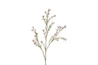 Decostar zijdebloem van wax tamara 78 cm roze - thumbnail