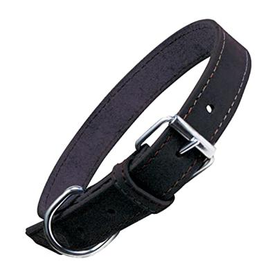 Hondenhalsband Gloria Oasis Zwart (1,2 x 35 cm)