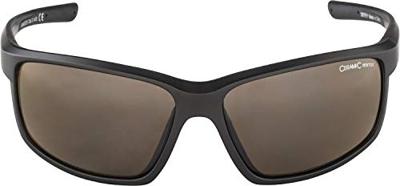 Alpina defey - sports glasses