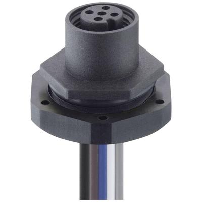 Lutronic 1220 12 T20CW100 0,5m Sensor/actuator inbouwconnector M12 Aantal polen (sensoren): 12 Bus, inbouw 1 stuk(s)