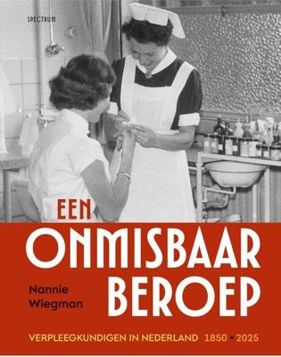 Een onmisbaar beroep - Nannie Wiegman - ebook