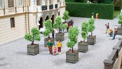 NOCH 14013 H0 Laser-Cut mini's 2-delige set sierbomen in bakken Kant-en-klaar model NOCH 14013 H0 Laser-Cut mini's 2-delige set sierbomen in bakken Kant-en-klaar model