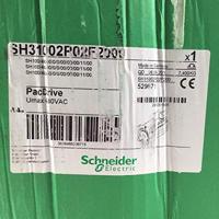 Schneider Electric Servomotor SH31002P02F2000 - thumbnail
