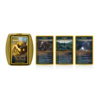 DE HEER VAN DE RINGEN Quiz - thumbnail